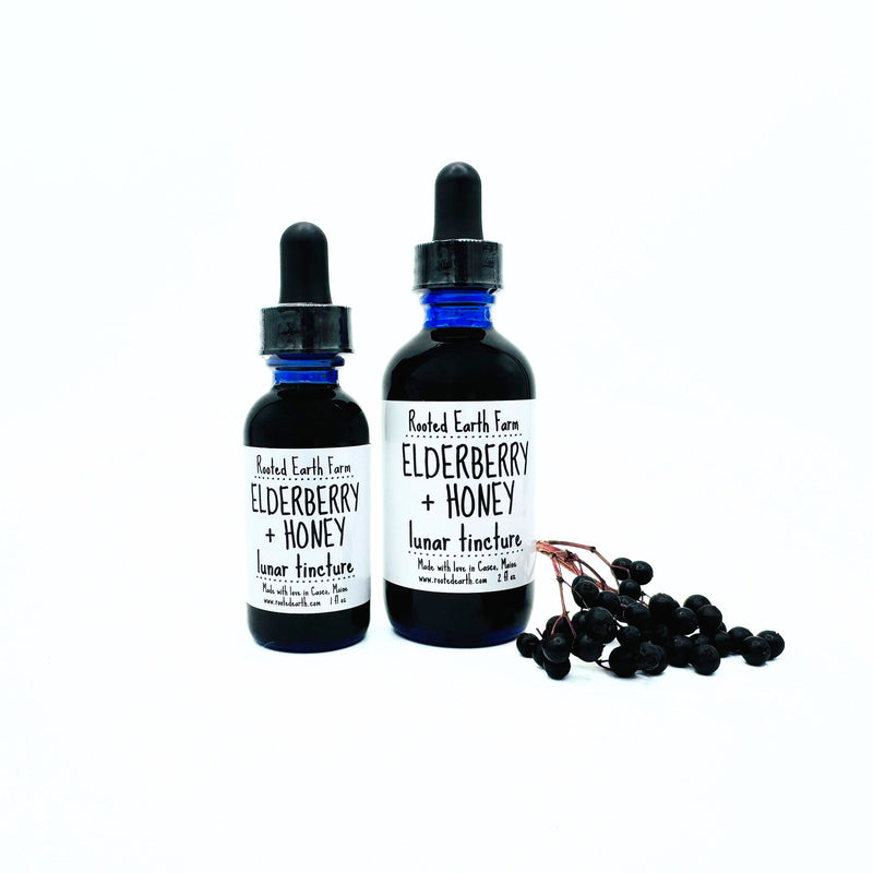 Rooted Earth Farm + Apothecary Elderberry + Honey Tincture Tinctures + Capsules