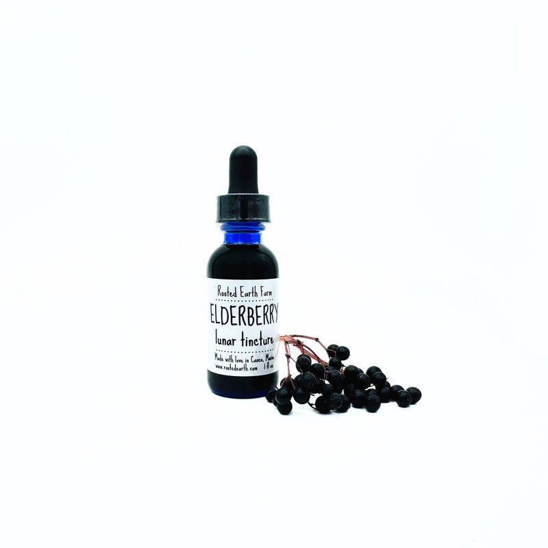 Rooted Earth Farm + Apothecary Elderberry Tincture Tinctures + Capsules