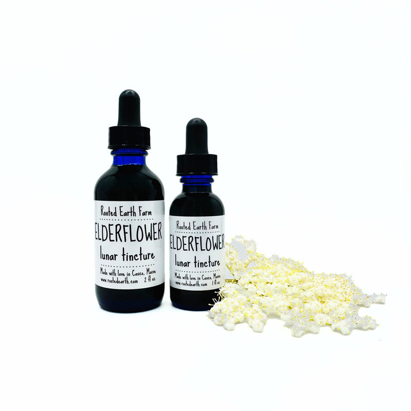 Rooted Earth Farm + Apothecary Elderflower Tincture Tinctures + Capsules