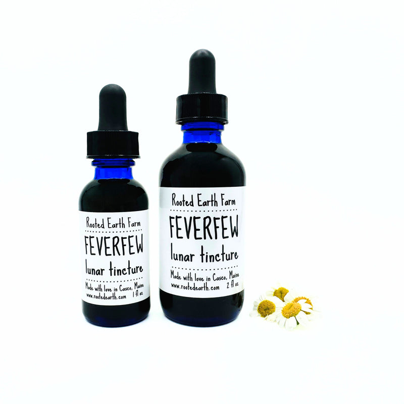 Rooted Earth Farm + Apothecary Feverfew Tincture Tinctures + Capsules