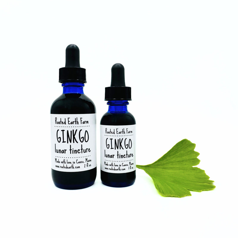 Rooted Earth Farm + Apothecary Ginkgo Tincture Tinctures + Capsules