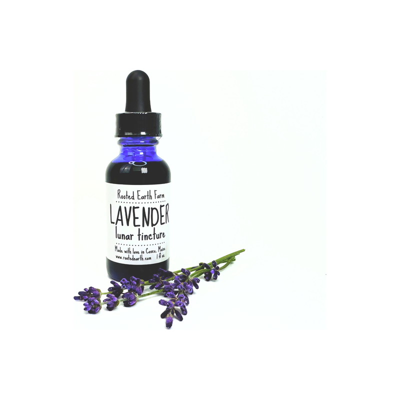 Rooted Earth Farm + Apothecary Lavender Tincture Tinctures + Capsules