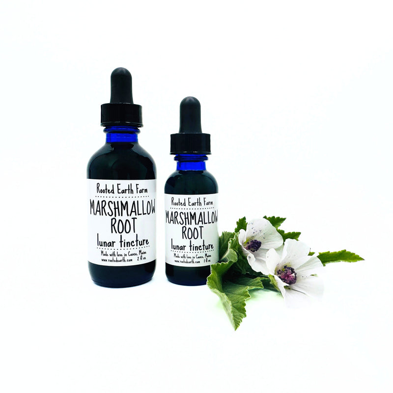 Rooted Earth Farm + Apothecary Marshmallow Root Tincture Tinctures + Capsules