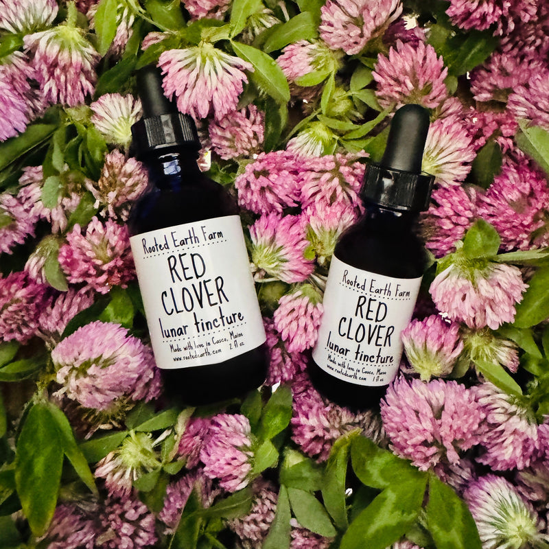 Rooted Earth Farm + Apothecary Red Clover Tincture Tinctures + Capsules