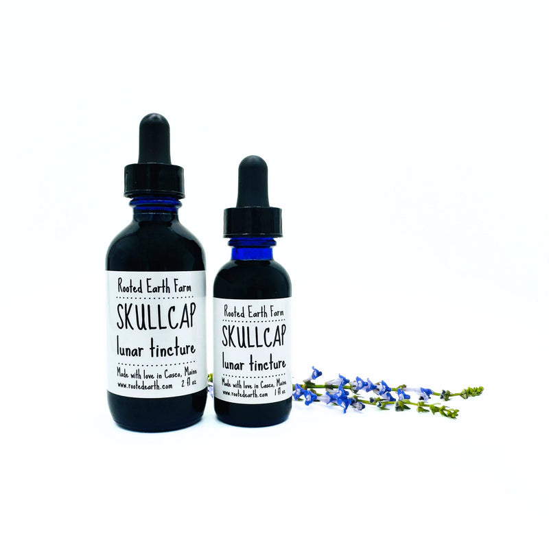 Rooted Earth Farm + Apothecary Skullcap Tincture Tinctures + Capsules