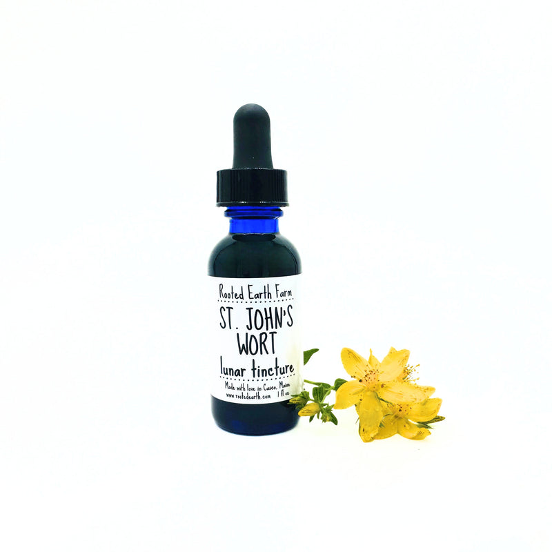 Rooted Earth Farm + Apothecary St. John's Wort Tincture Tinctures + Capsules