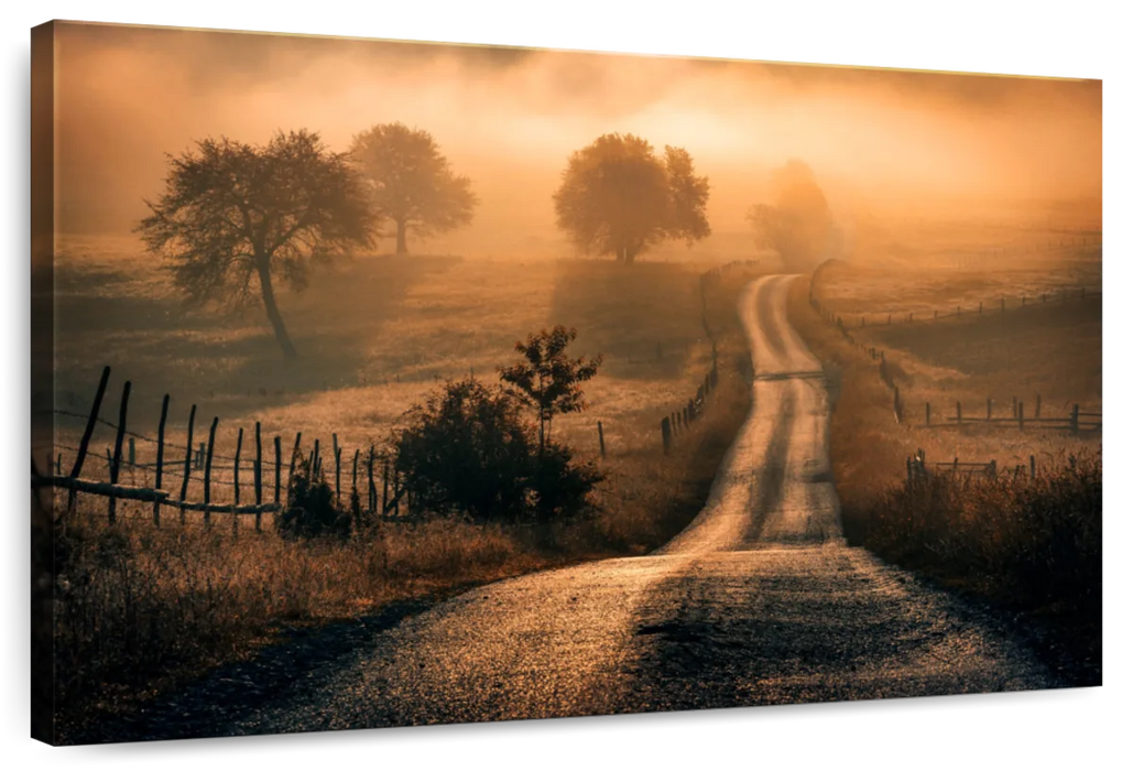 Field Of Fog Wall Art