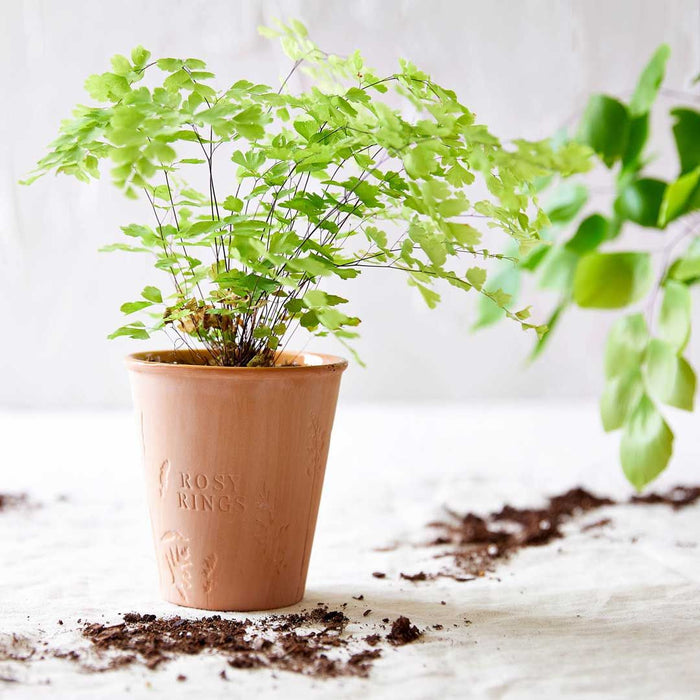 Basil Orange Garden Pot Candle + Plantable Seed Paper Dust Covers