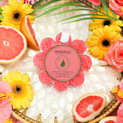 Spongellé Grapefruit Cassis | Wild Flower Body Wash Infused Buffer