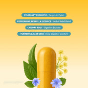 Snap Supplements 3 Gut Health + 1 Free Container + Free E-Book