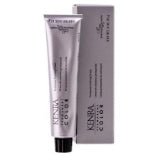 VIP Extensions Guy Perm 9VM Light Blonde Violet Metallic - Kenra Color Hair Care