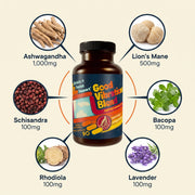 Hippie Farms Stress Support - Good Vibrations Blend - Ashwagandha, Lions Mane, & More Vitamins & Supplements Seashell