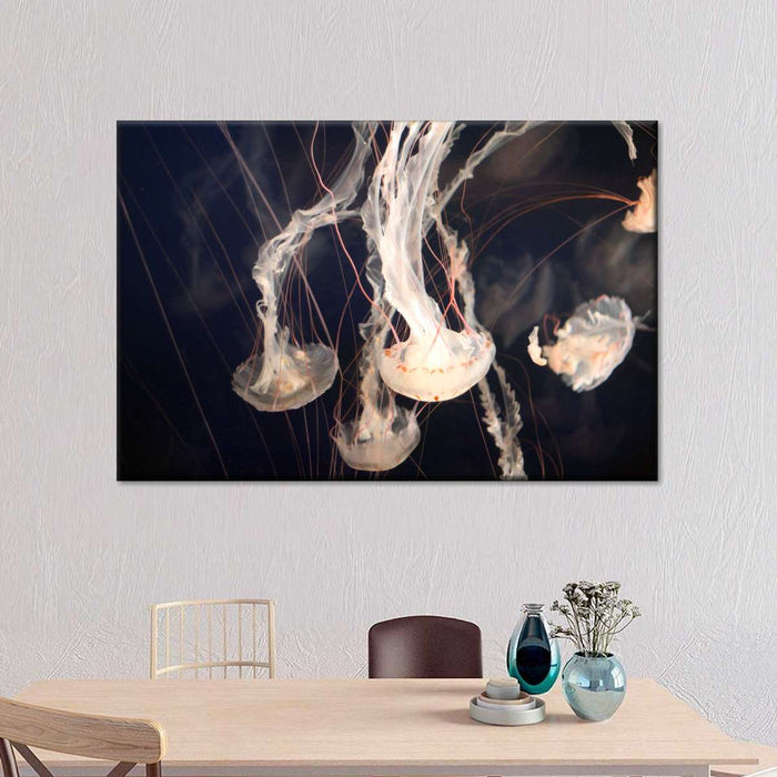 Light Of Jellyfish Wall Art