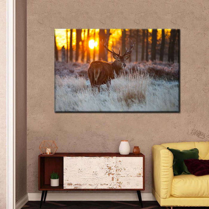 Forest Deer Hunting Wall Art