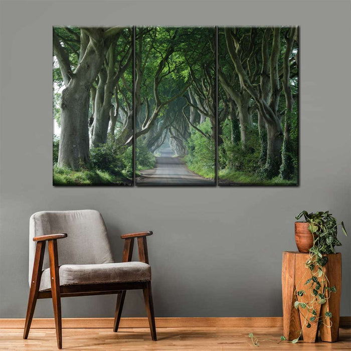 Dark Hedges Wall Art