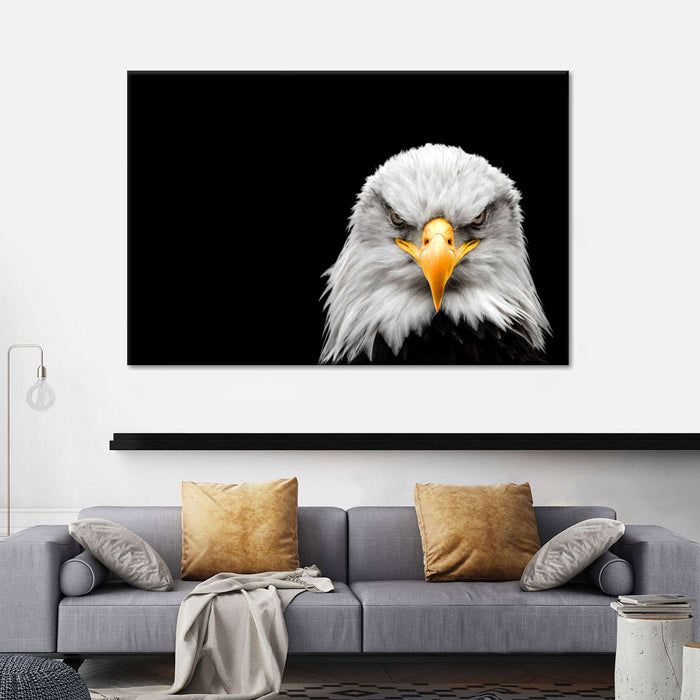 Angry Bald Eagle Wall Art