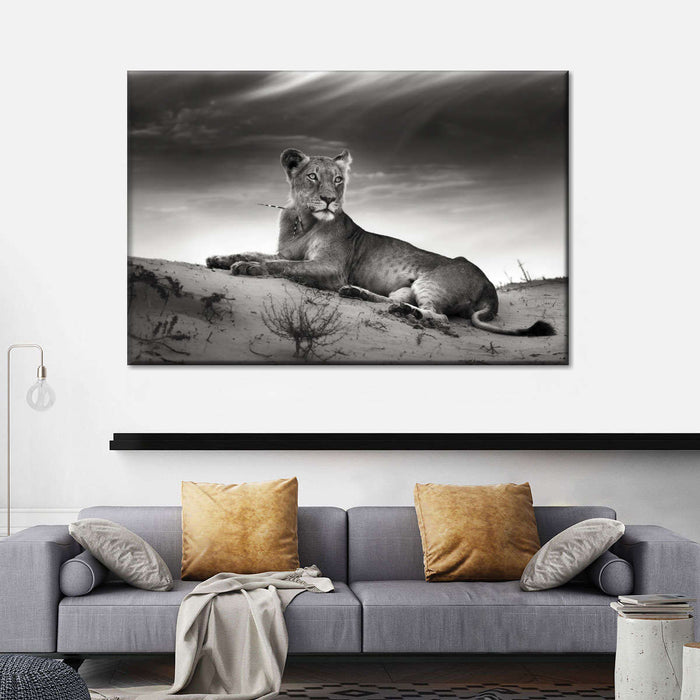 Lioness Wall Art