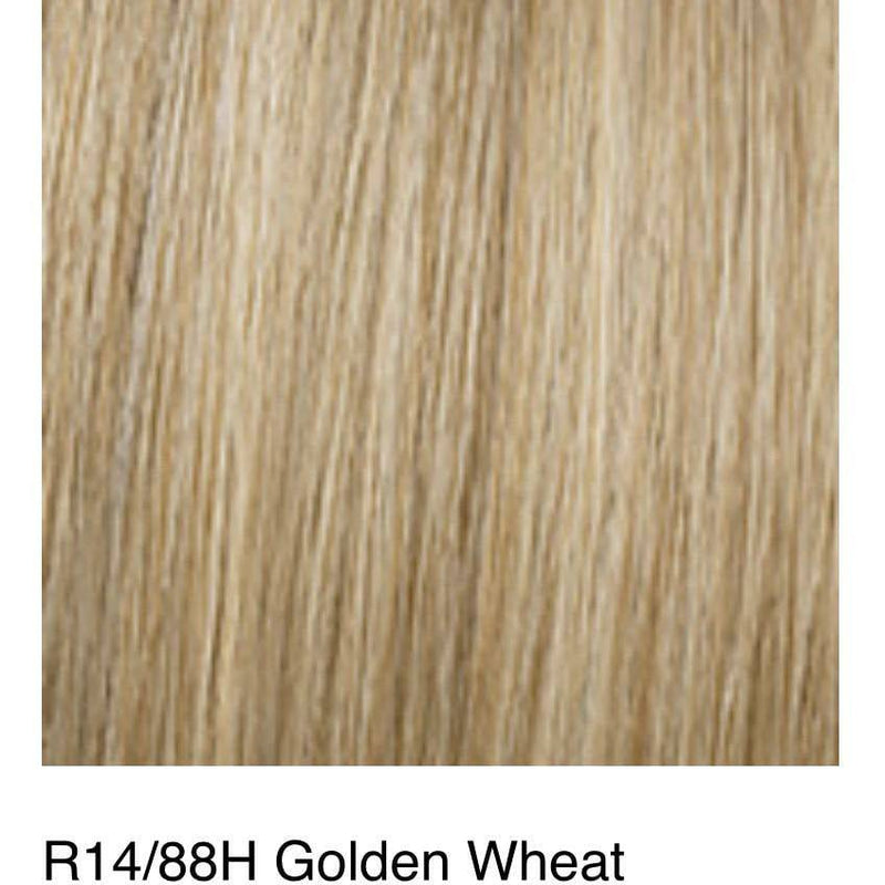 VIP Extensions HD 23" Grand Extension by Hairdo clip extensions