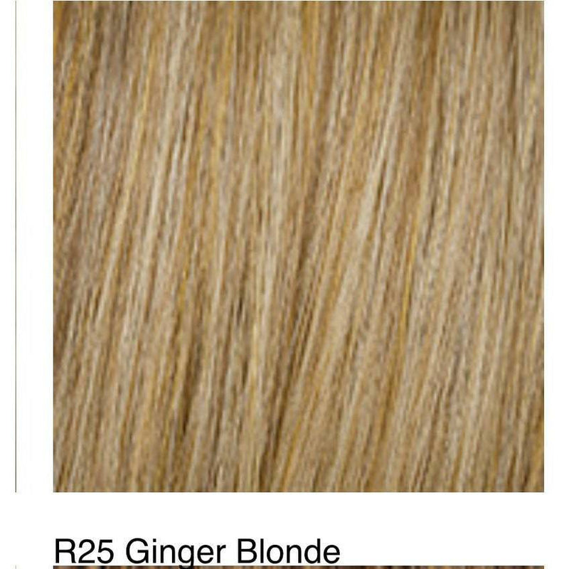 VIP Extensions HD 23" Grand Extension by Hairdo clip extensions