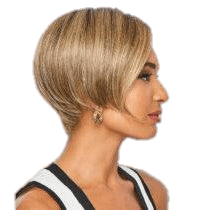 VIP Extensions HEARD IT ALL - wig by Raquel Welch RW lace front wig