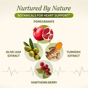 Snap Supplements Heart Health & Cholesterol Health Bundle