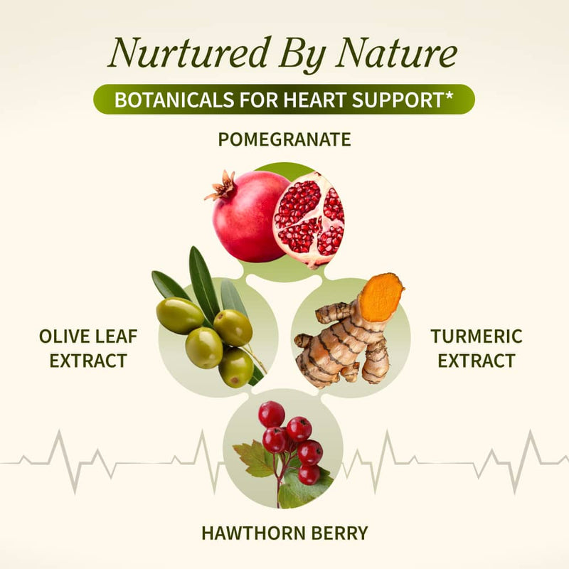Snap Supplements Heart Health & Cholesterol Health Bundle