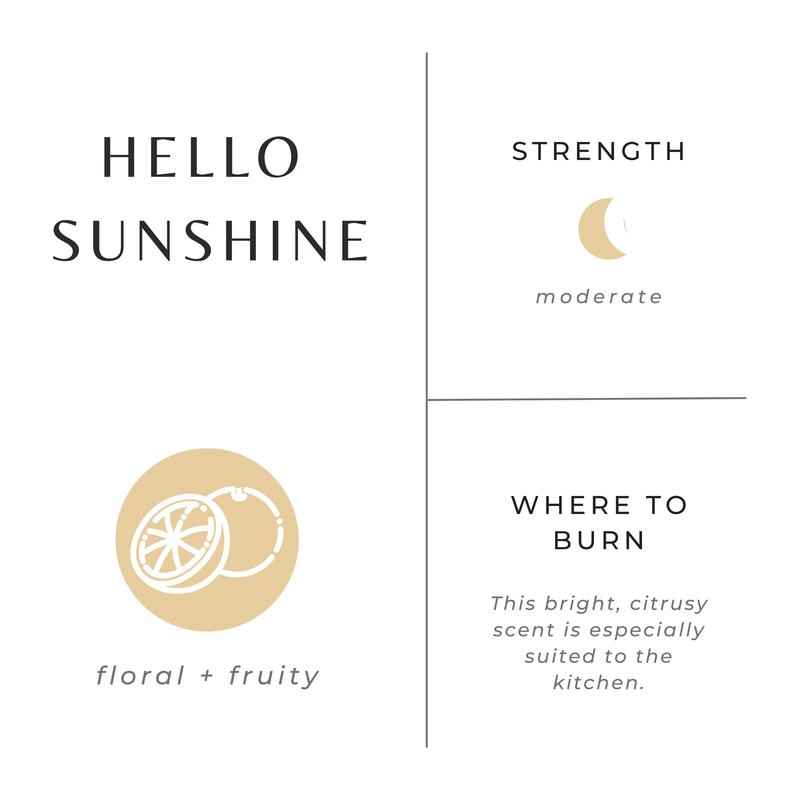 Slow North Mini Candle - 2 oz 2 oz Soy Candle