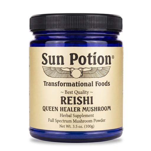 Sun Potion Reishi Mushroom Powder Adaptogen Bisque 100g Jar