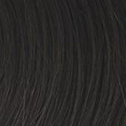 VIP Extensions HIGH FASHION - Wig by Raquel Welch - 100% Human Hair Human Hair Wig