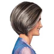 VIP Extensions High Society Wig by Gabor Gabor Wigs