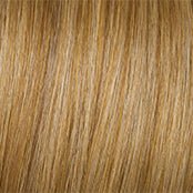 VIP Extensions Highlight Wrap by Hairdo Accessories
