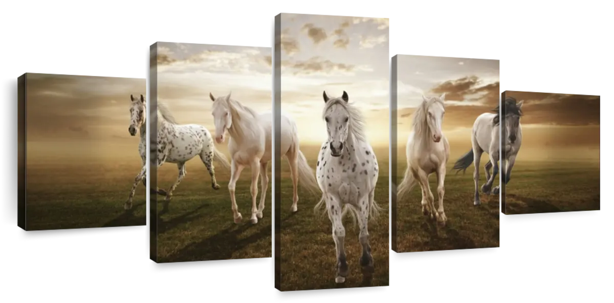 Dramatic White Horses Wall Art