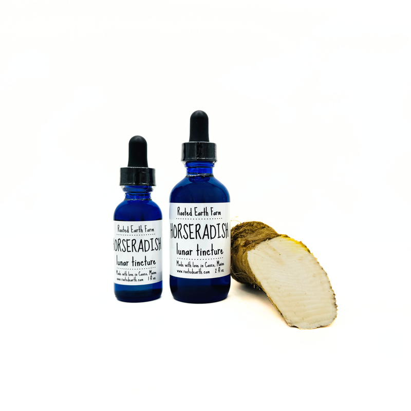 Rooted Earth Farm + Apothecary Horseradish Tincture Tinctures + Capsules