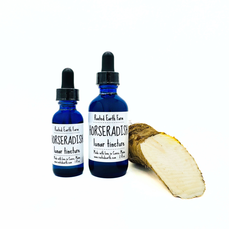 Rooted Earth Farm + Apothecary Horseradish Tincture Tinctures + Capsules