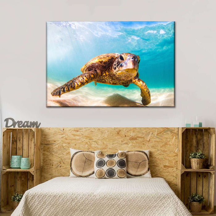 Hawaiian Turtle Wall Art