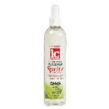 VIP Extensions IC Fantasia Hair Polisher Spritz Super Hold oz