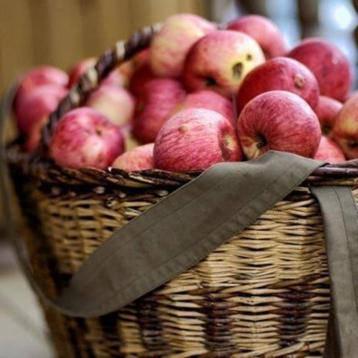 Farmstand Apple by Wicked Good Perfume