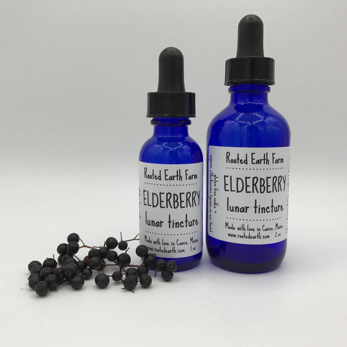 Rooted Earth Farm + Apothecary - Elderberry Tincture 1oz - 2oz. 