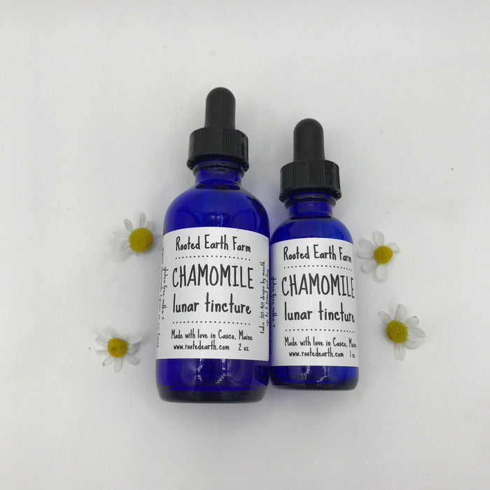 Rooted Earth Farm + Apothecary - Chamomile Tincture