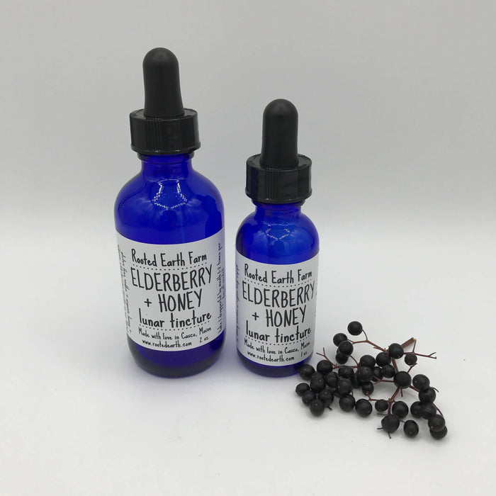 Rooted Earth Farm + Apothecary - Elderberry + Honey Tincture 1oz - 2oz. 