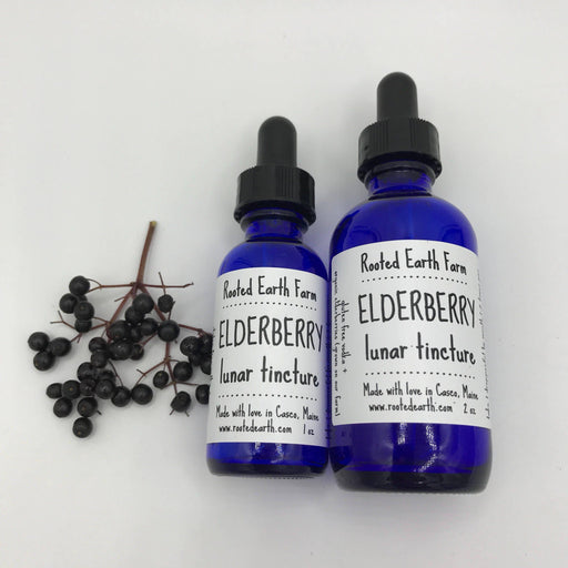 Rooted Earth Farm + Apothecary - Elderberry Tincture 1oz - 2oz. Rooted Earth Farm + Apothecary - Elderberry Tincture 1oz - 2oz. 