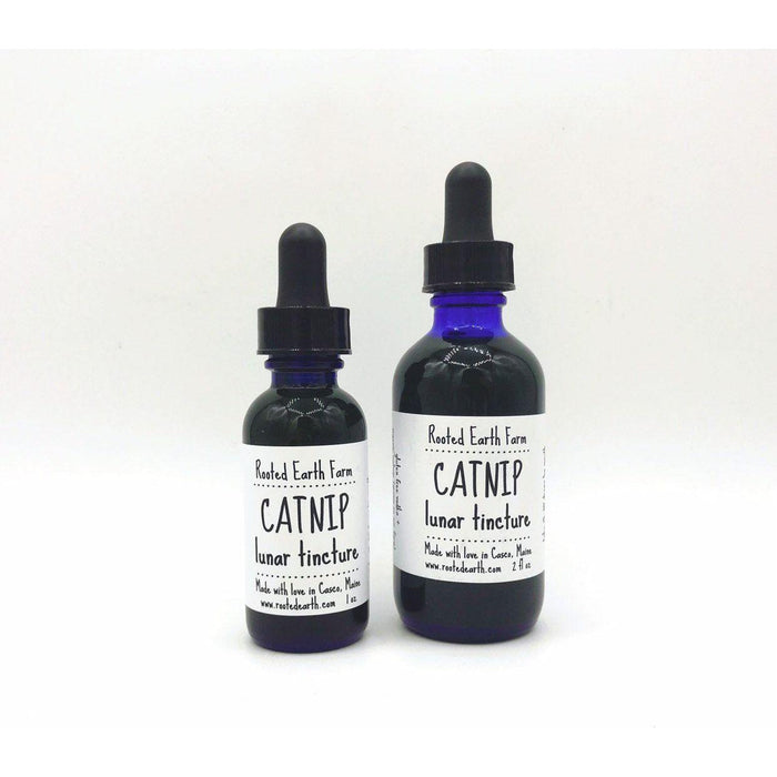 Catnip Tincture