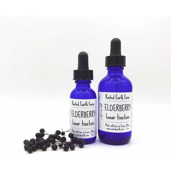 Rooted Earth Farm + Apothecary - Elderberry Tincture 1oz - 2oz. 