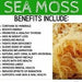MG Windward Trading LLC - Organic Fresh Fruit Infused Sea Moss Gel 32oz