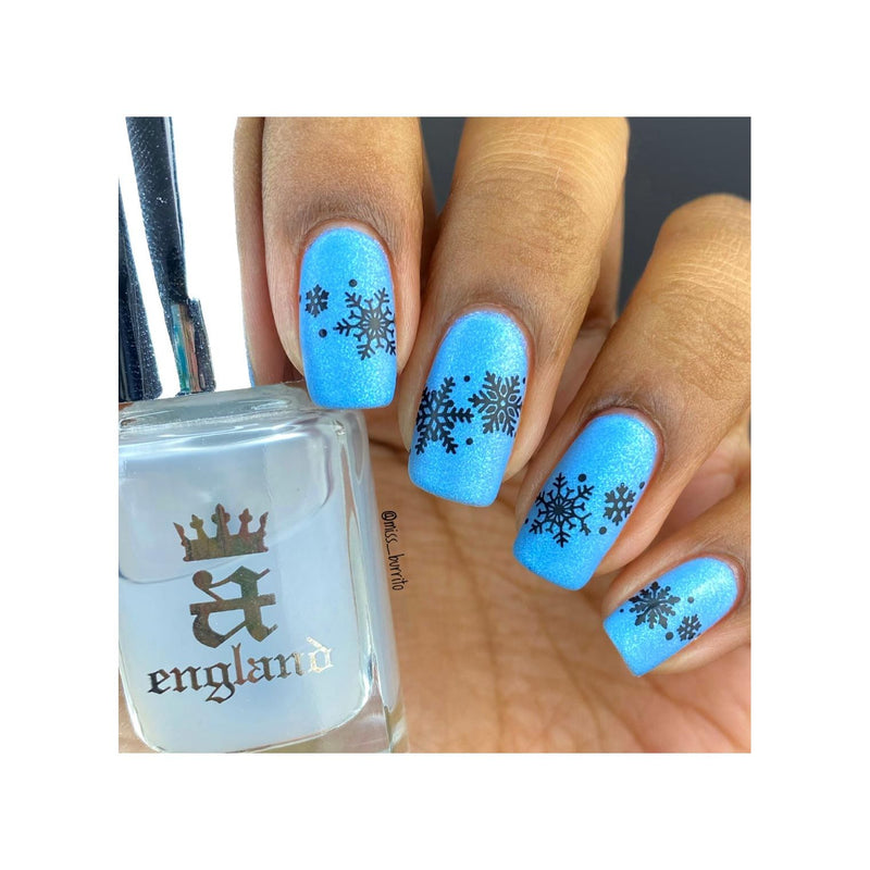 UberChic Beauty Winter Wonderland Stamping Plate