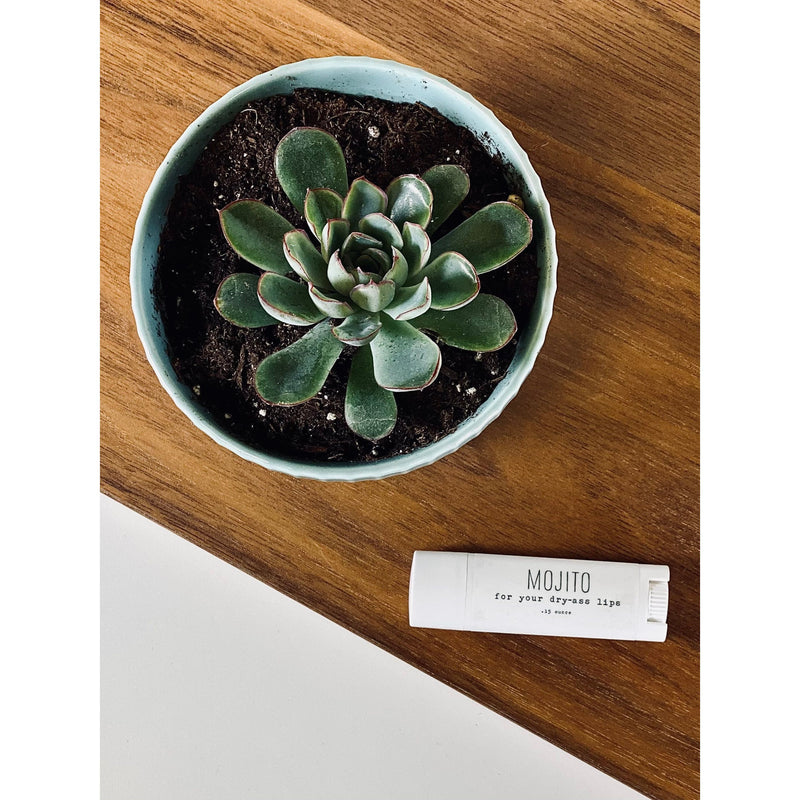 handmade. la conner Lip Balm - Sweary - Mojito