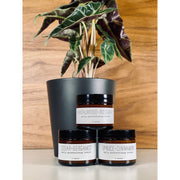 handmade. la conner Daily Moisturizing Lotion - Woodsy Gentlemen