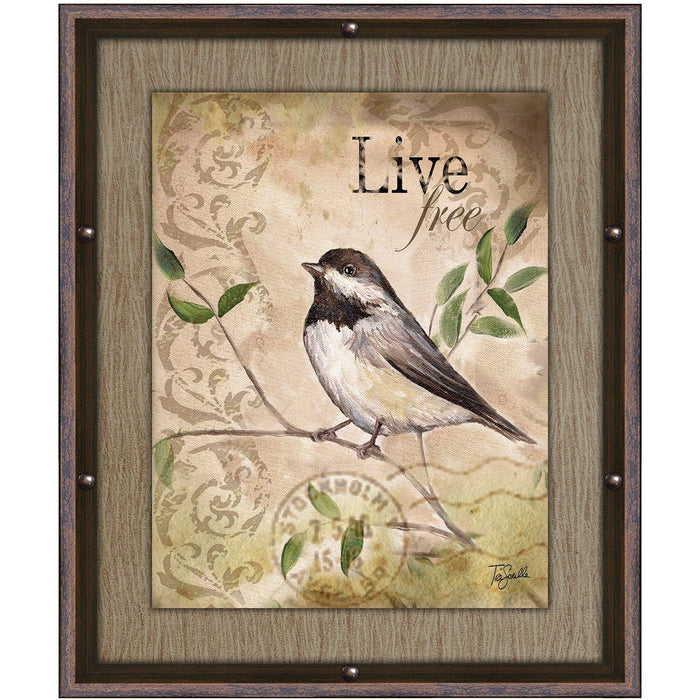 Shopbobbys Premius Live Free Framed Wall Art With Buttons, 11X13 Inches