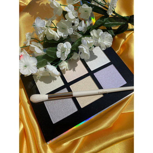 Prolux Cosmetics Holographic Highlight Palette HIGHLIGHT
