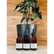 handmade. la conner Pure Essential Oils - Woodsy